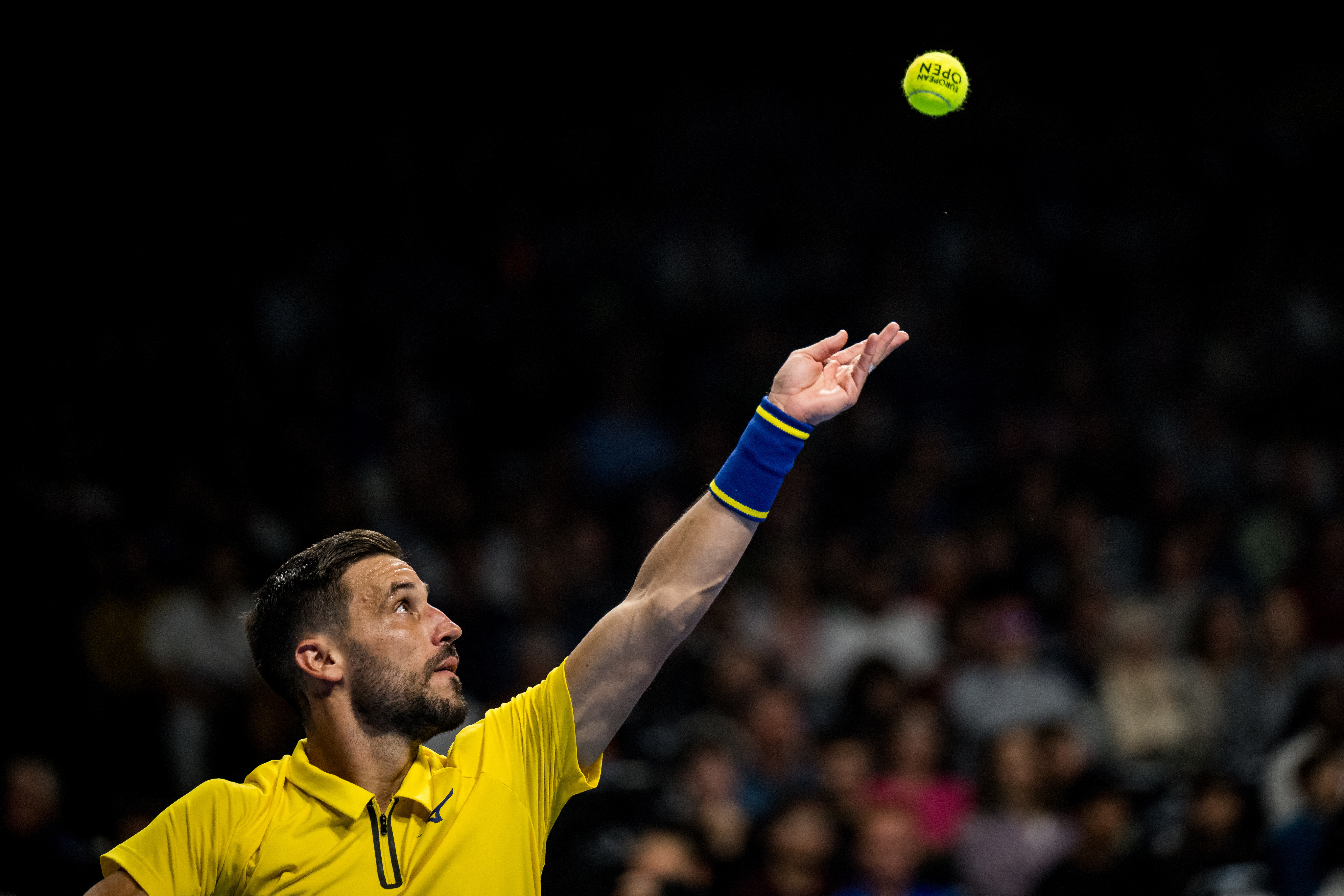 Damir Džumhur Dzumhur