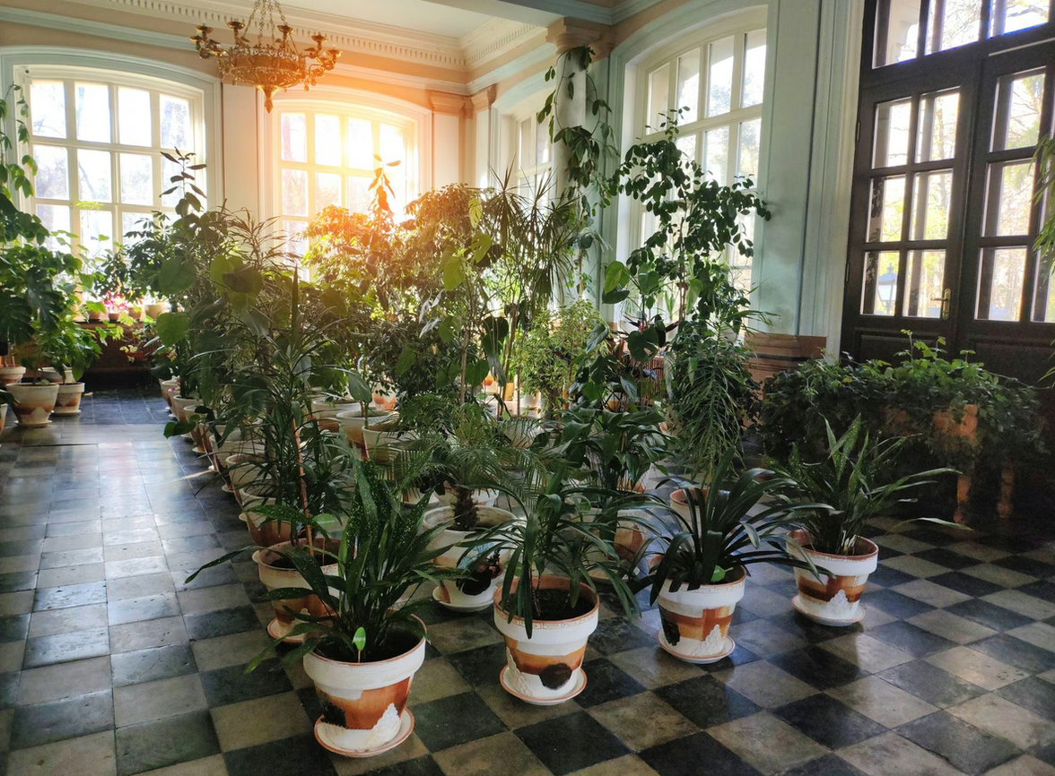 Screenshot 2025-10-25 135057