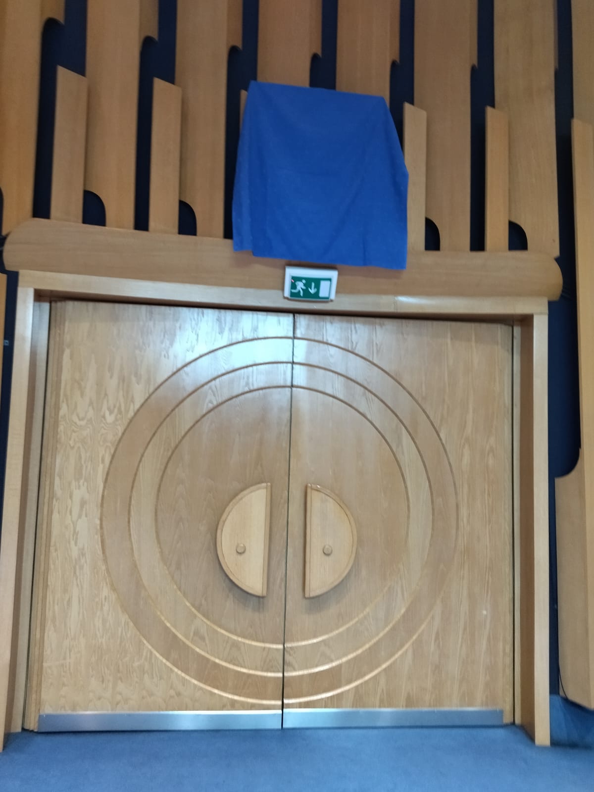 viber_image_2025-10-29_13-21-56-591