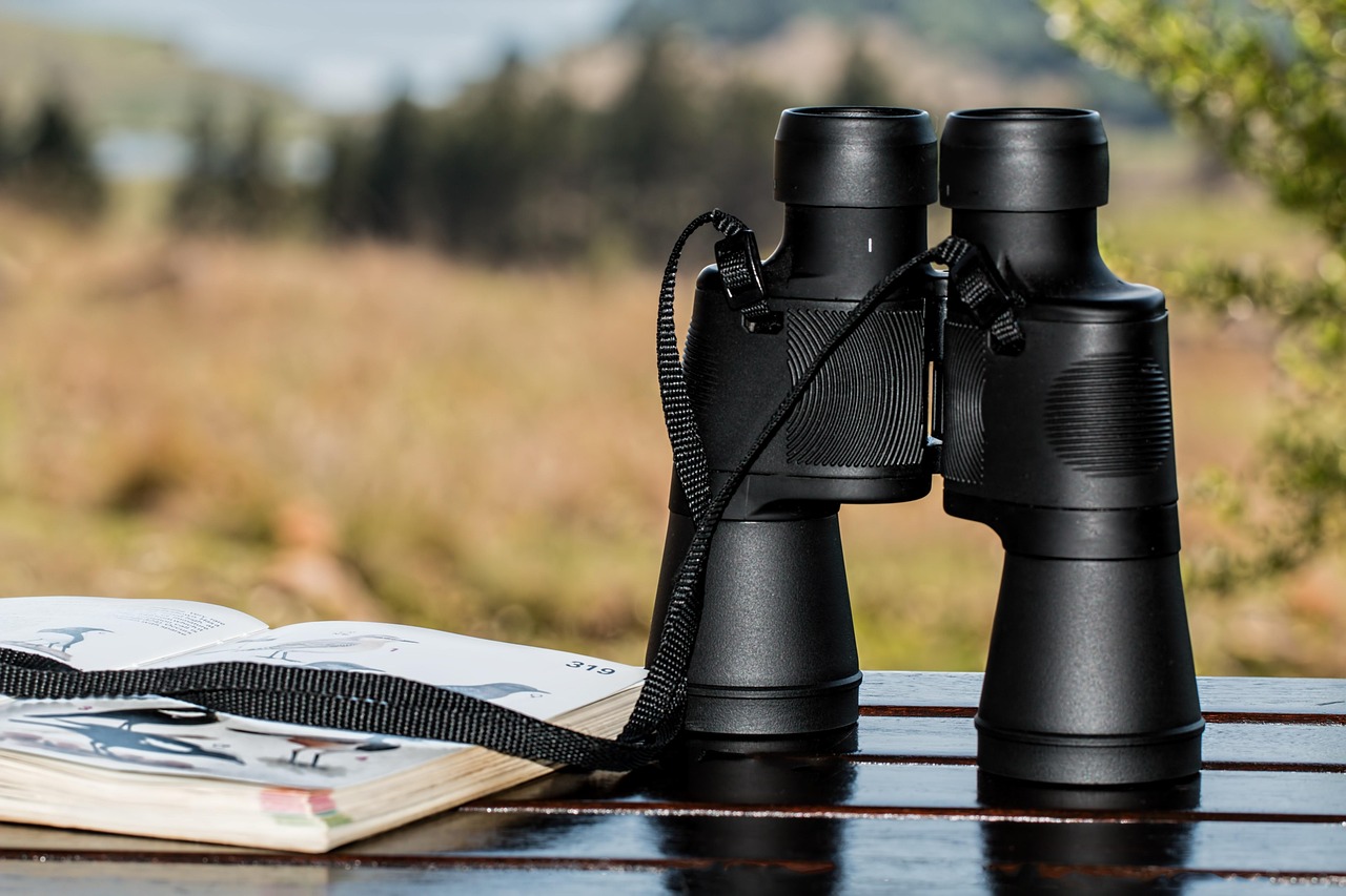 binoculars-995779_1280