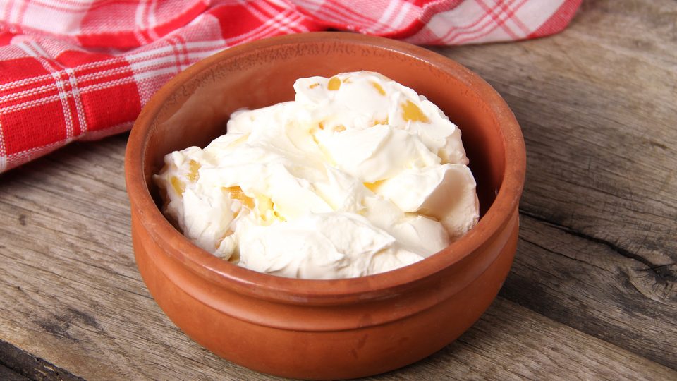 shutterstock_520134814-e1761819374876