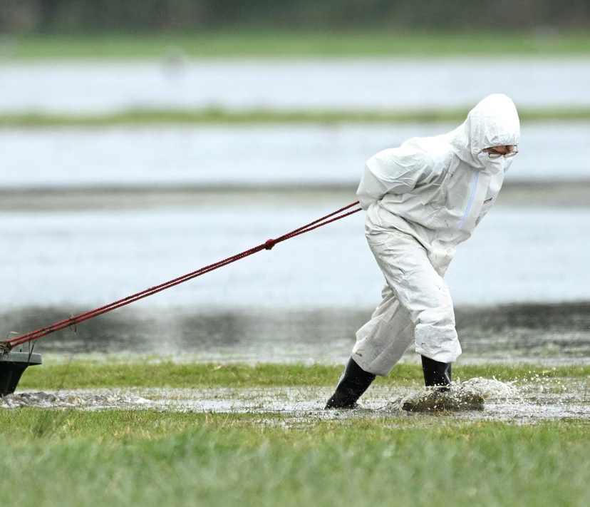 Screenshot 2025-10-31 185848