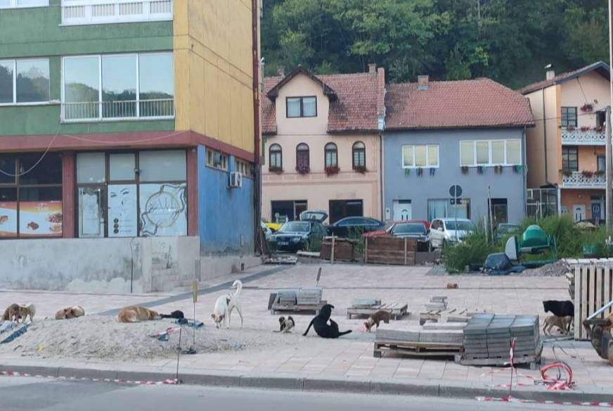 gorazde-psi-lutalice-872x584