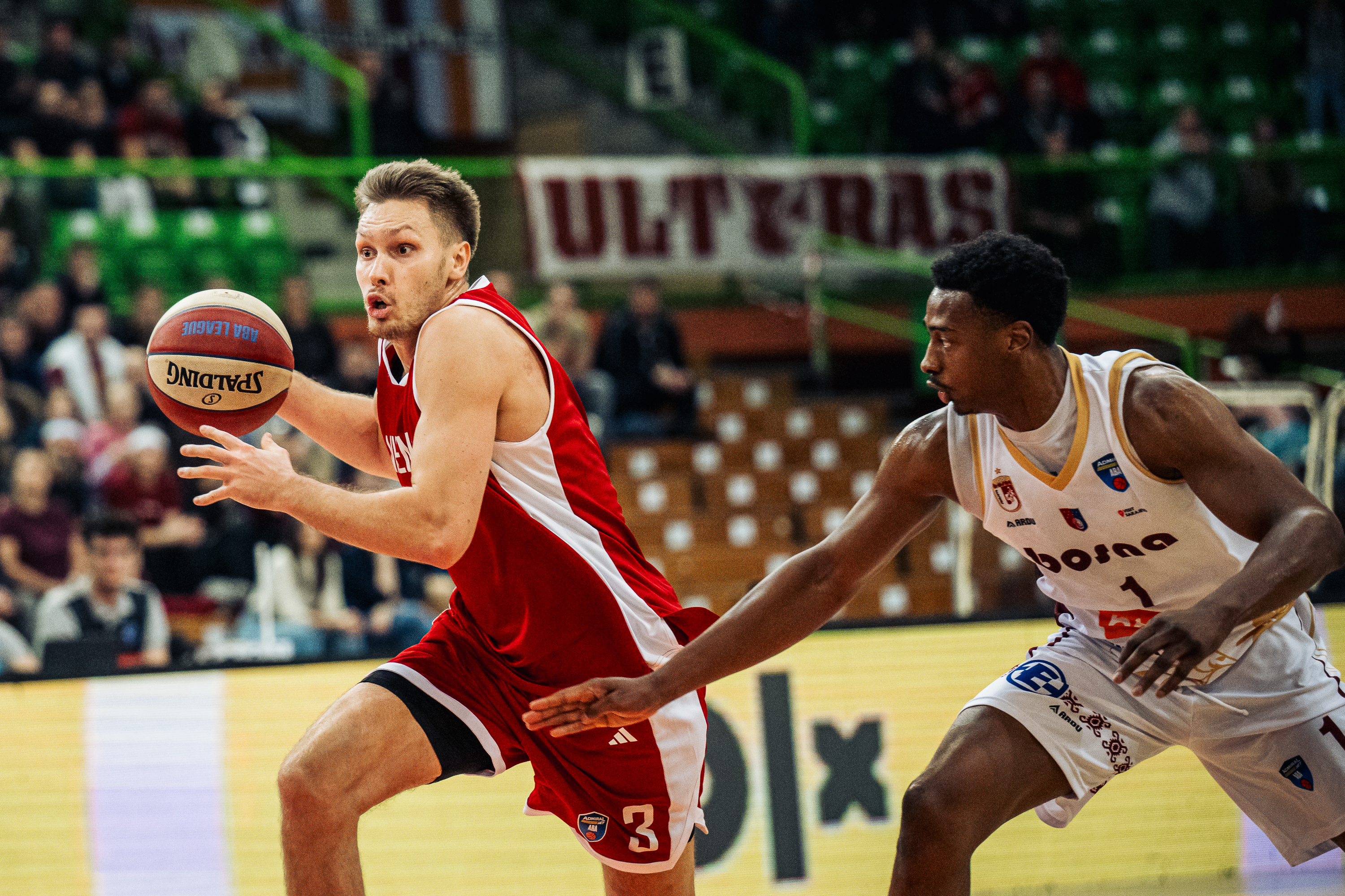 Gregor Glas Audige.jpg