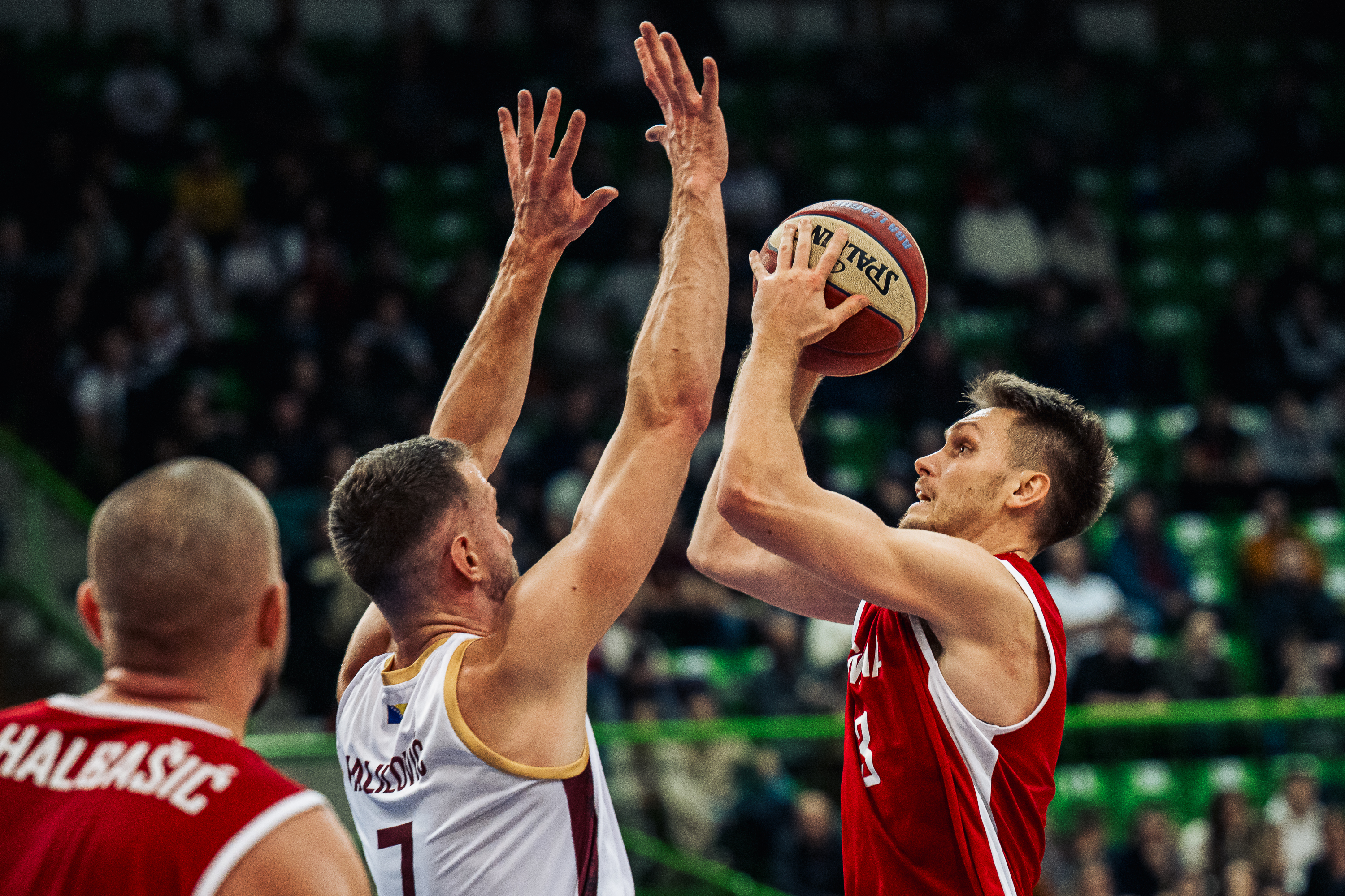 Miralem Halilović Gregor Glas.jpg