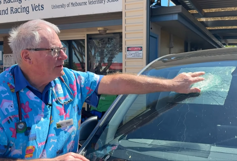 d559329e-2920-464c-b728-0152556a6ee9