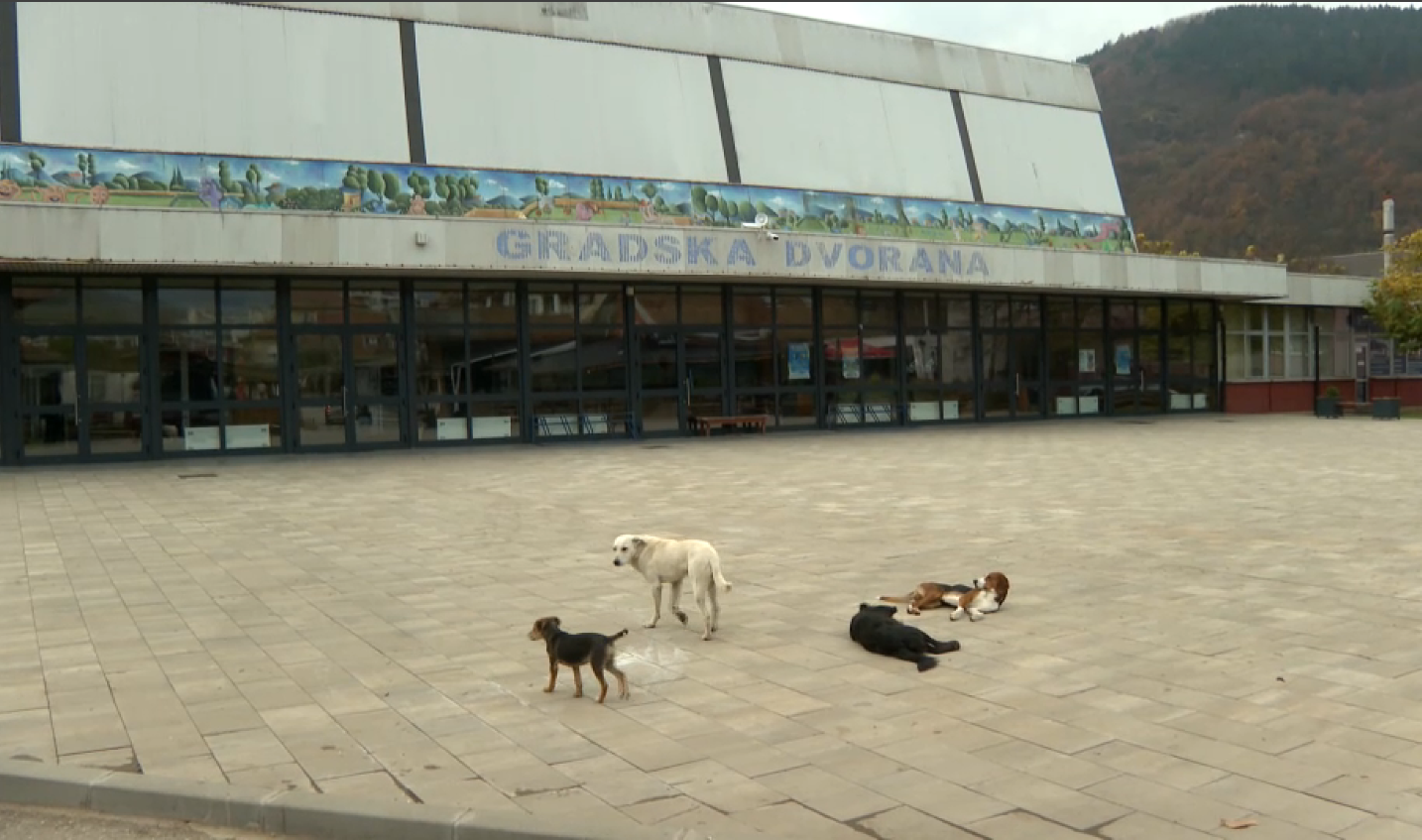 Screenshot 2025-11-03 190506