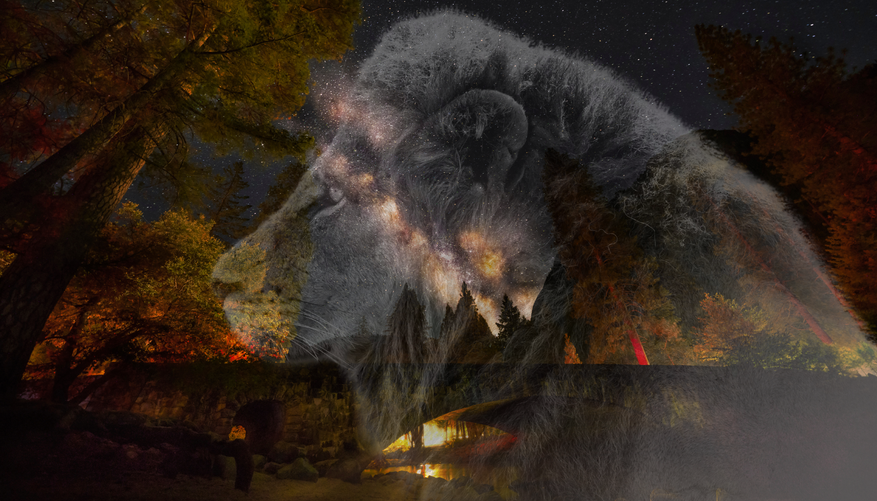 horoskop lav- 2025-11-10T122435.593