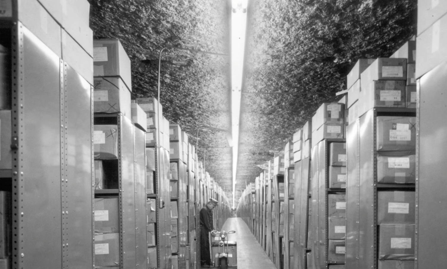 Screenshot 2025-11-10 204322