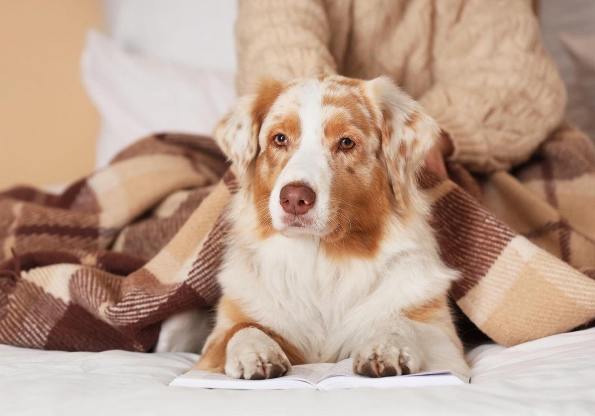 Screenshot 2025-11-16 125837