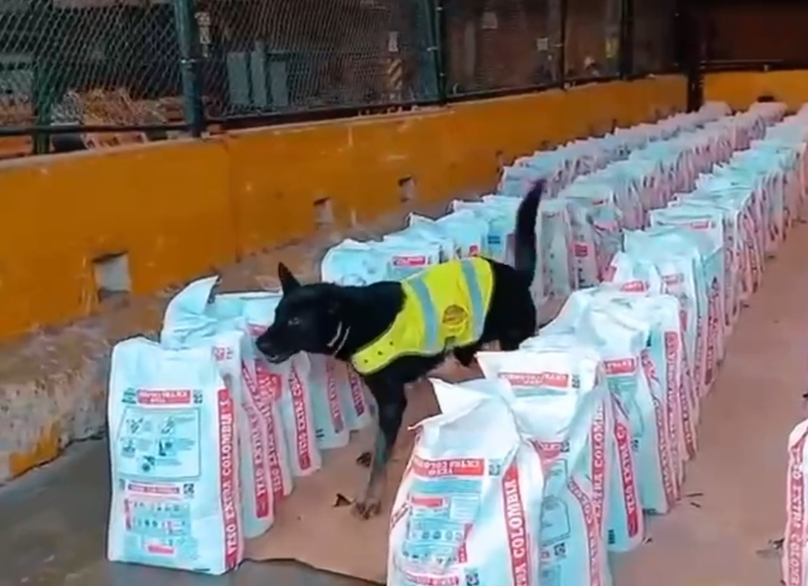 Screenshot 2025-11-22 174347