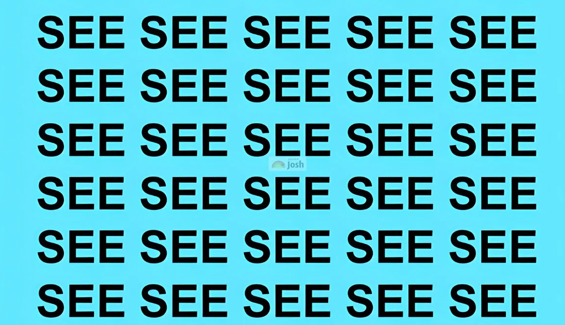 Screenshot 2025-11-26 154350