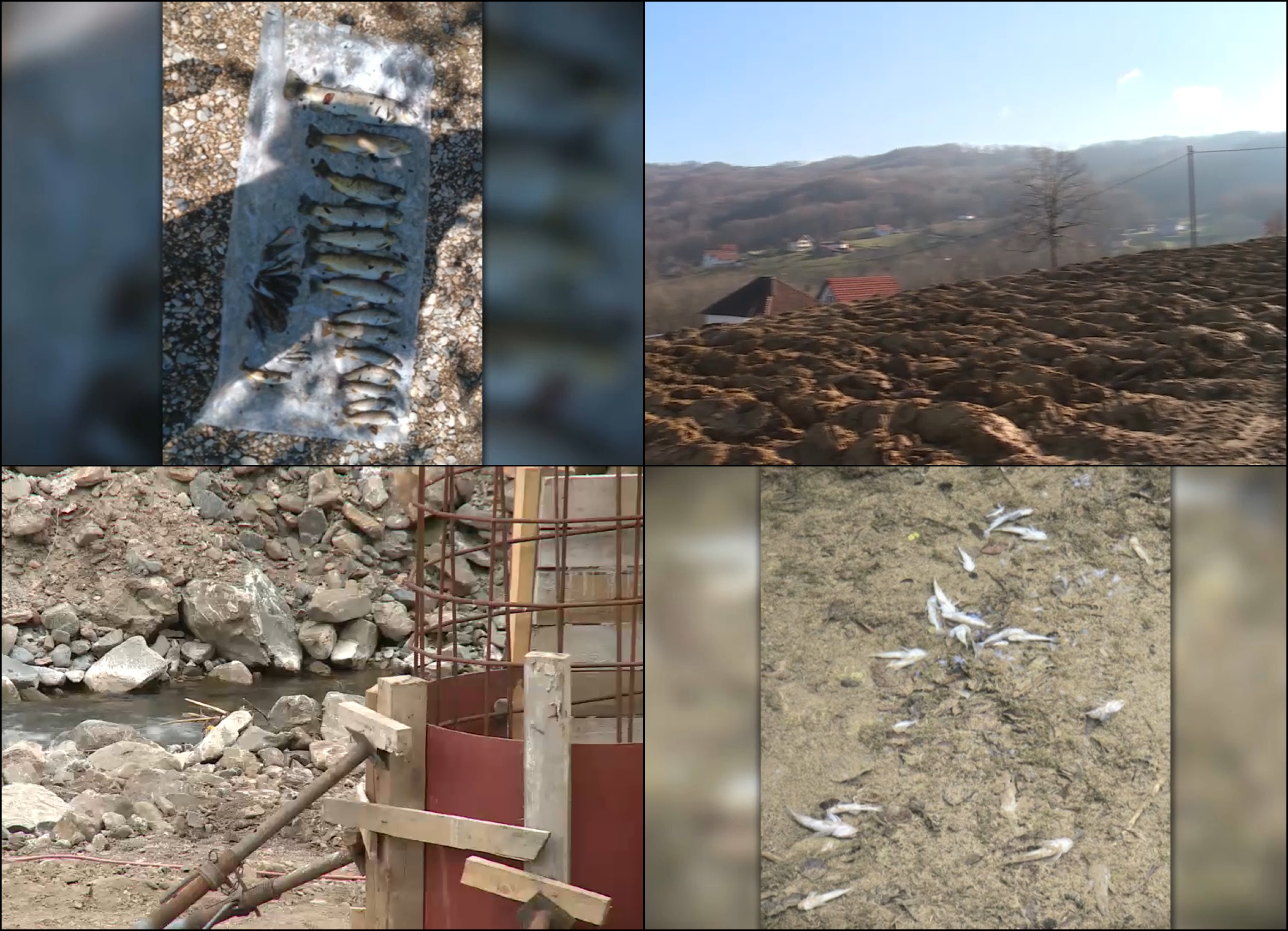 BeFunky-collage (48)