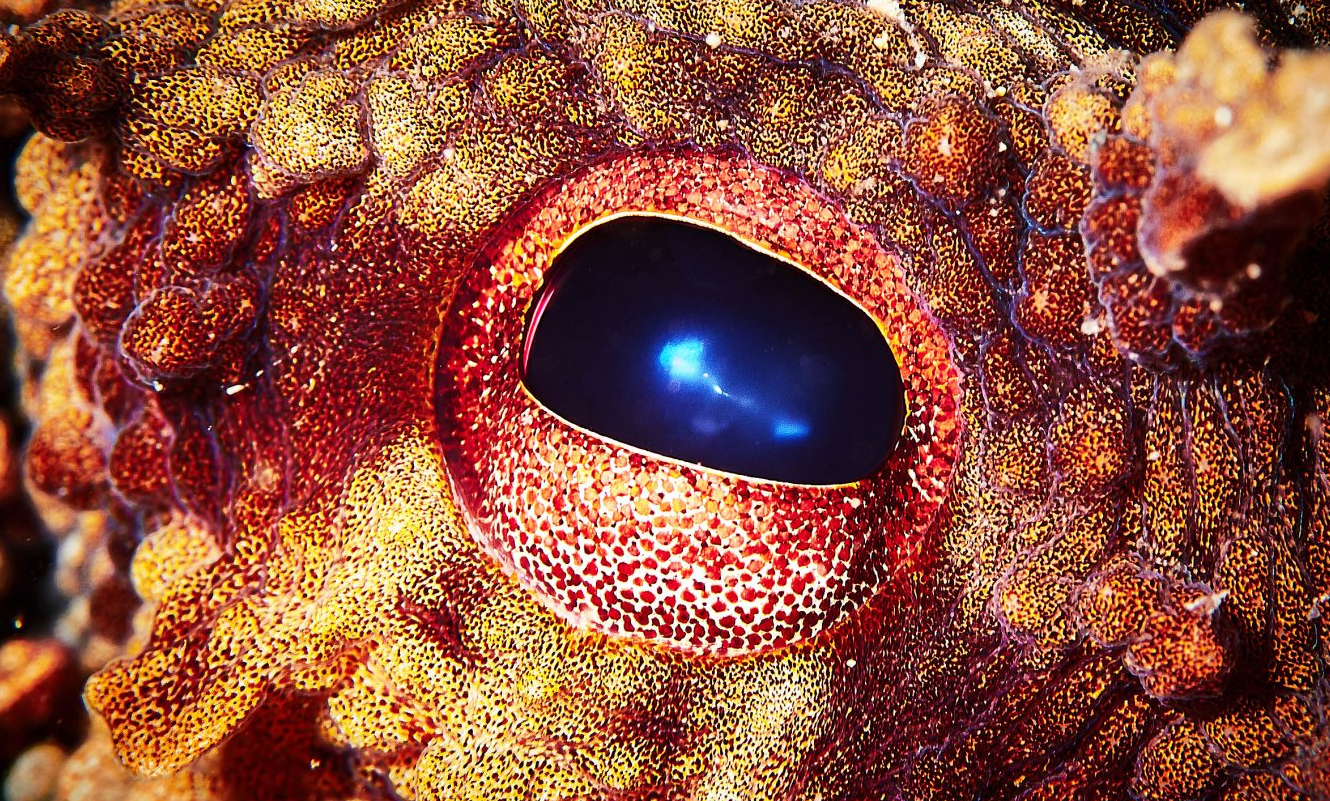 Screenshot 2025-12-07 120255