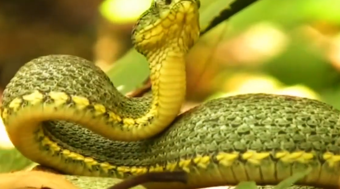 Screenshot 2025-12-08 152819