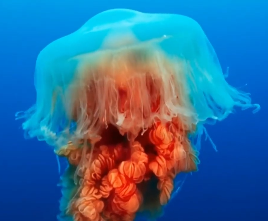 Screenshot 2025-12-08 152904