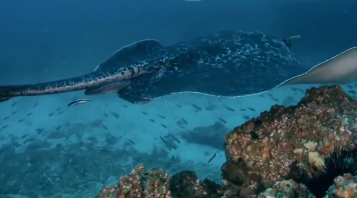 Screenshot 2025-12-08 152723