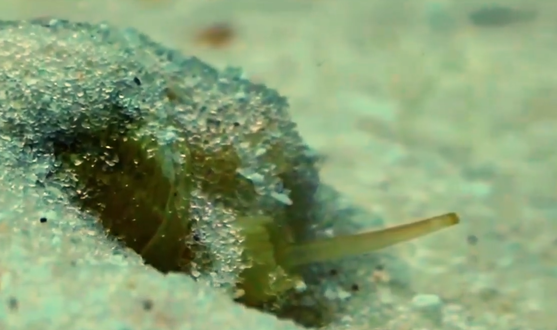 Screenshot 2025-12-08 152744