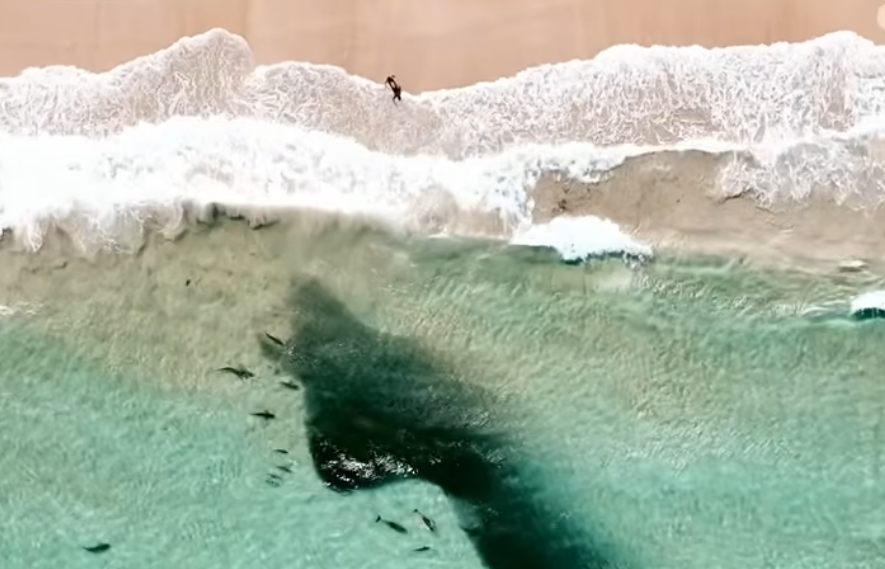 Screenshot 2025-12-11 173359