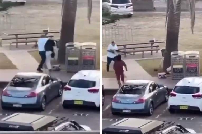 1eb1cccc-86b6-44d9-973e-2e94d0ed5dc4