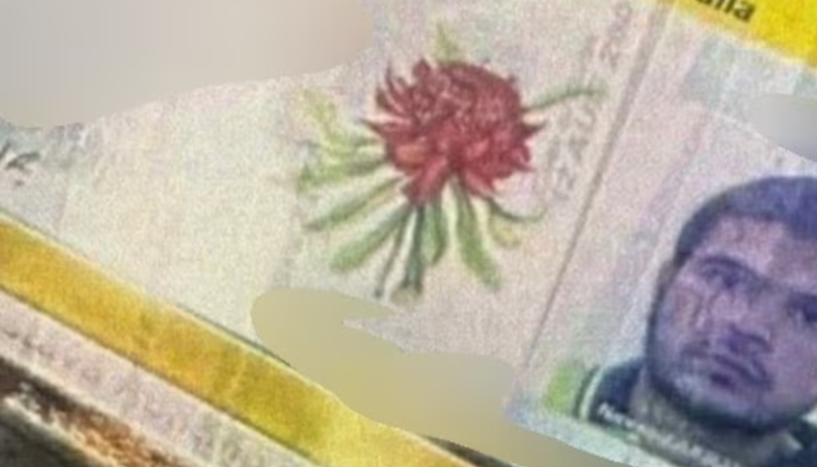 Dizajn bez naslova (58)