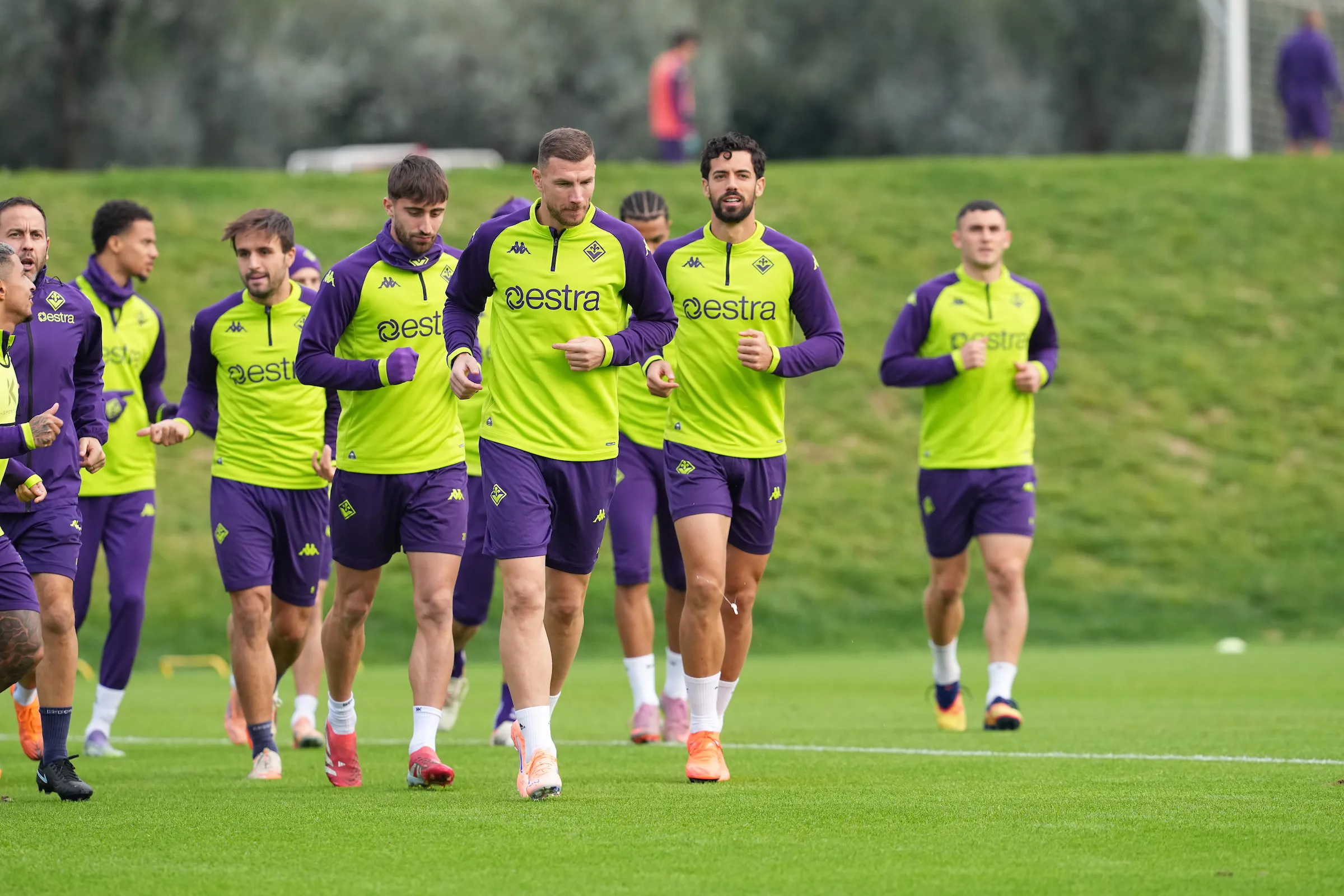 Džeko Dzeko i Fiorentina