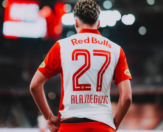 Kerim Alajbegović Alajbegovic