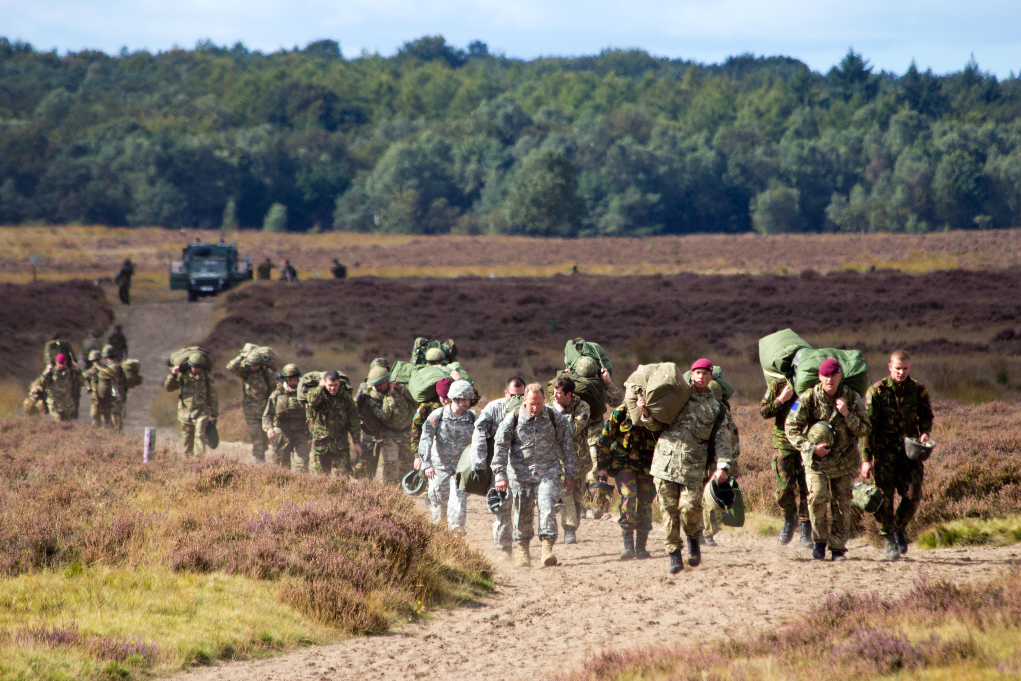 Image: 962285440, License: Royalty-free, Restrictions: , Model Release