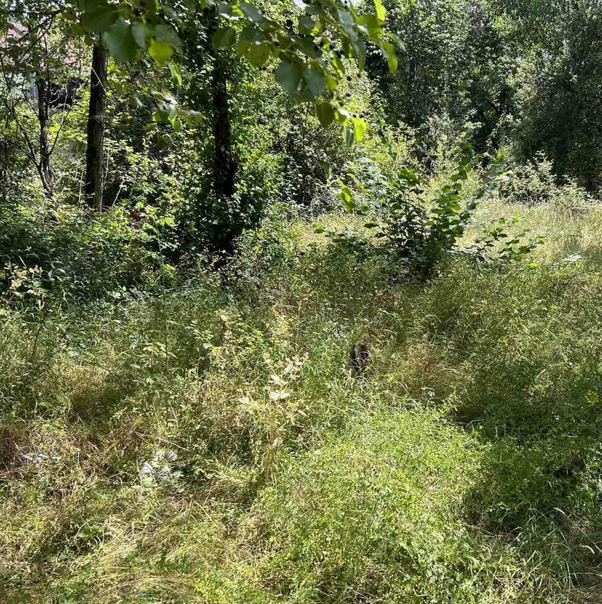 Screenshot 2025-12-22 151820