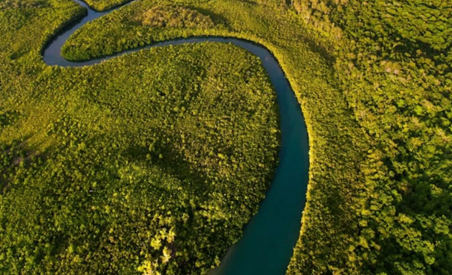 Screenshot 2025-12-24 173552