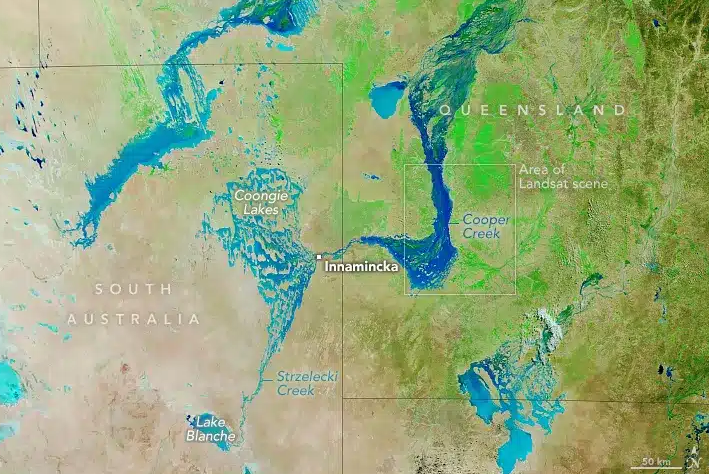 Screenshot 2025-12-24 173651