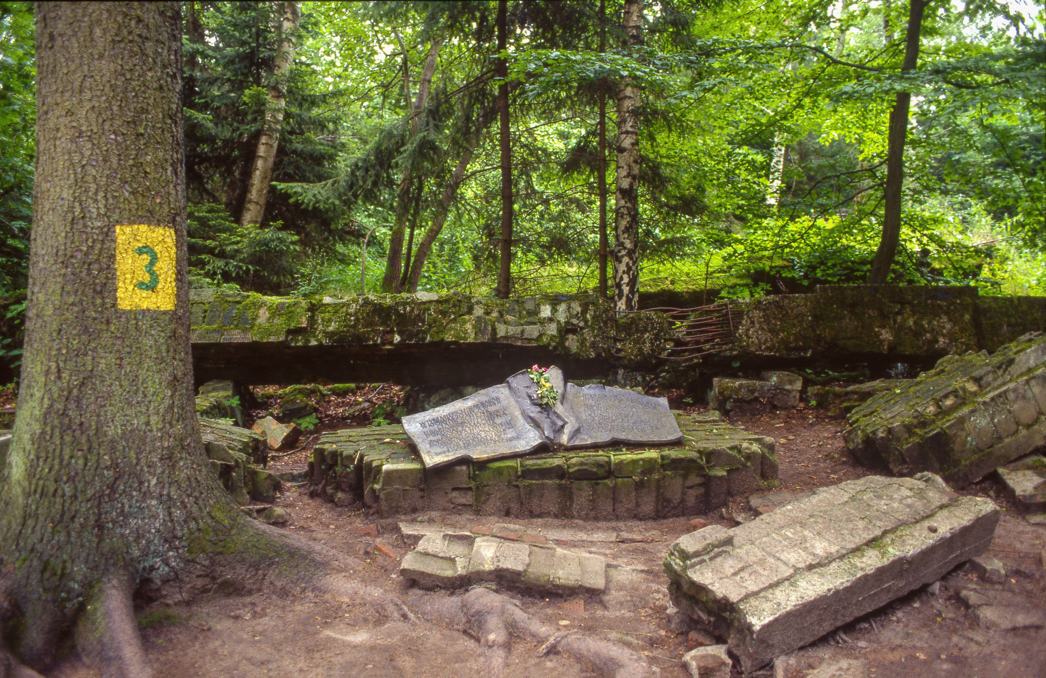 Poland, Gorlitz, part of the Wolf's Lair served es Adolf Hitler's first Eastern Front military headquarters in World War II.,Image: 980050375, License: Rights-managed, Restrictions: , Model Release: no, Credit line: Ron Giling / Alamy / Profimedia