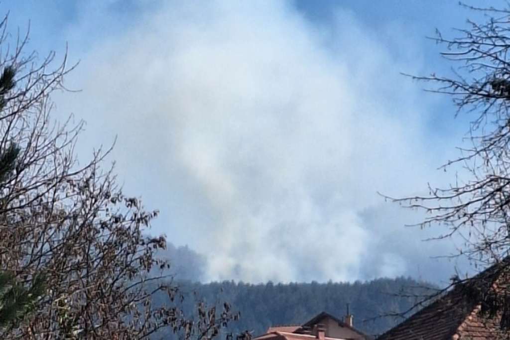 l_f4cb9bb6a2700888a0c14b035fd6ae2a