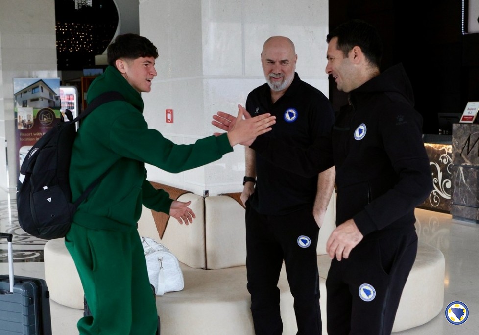 arjan malić sergej barbarez emir spahić