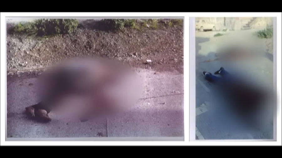 05.format-webp.width-900