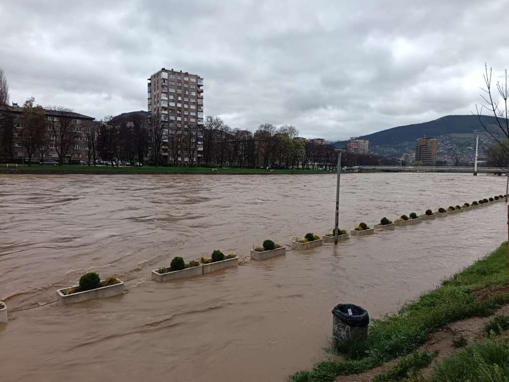 zenica kamberović polje