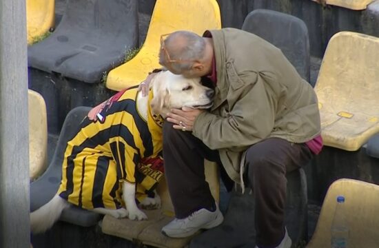 1743876898-nn-550x360