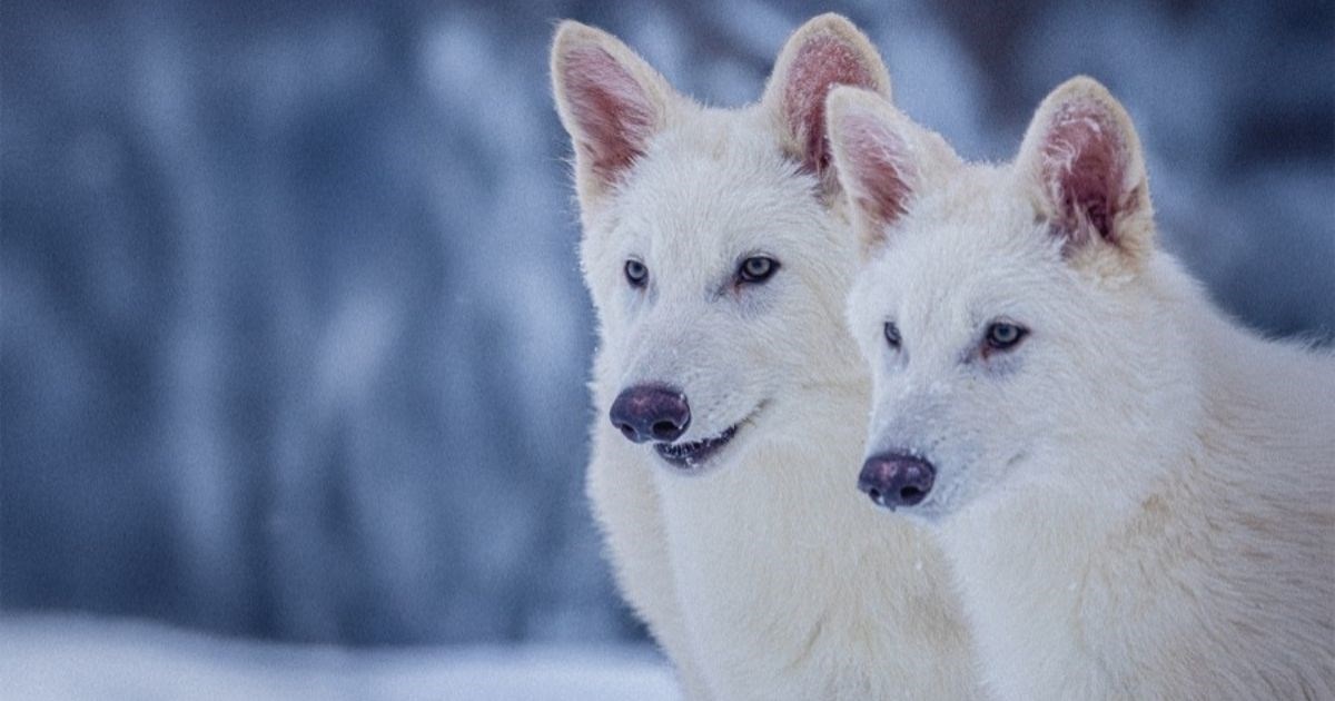 4639c457-87c0-4ca2-b9b6-b6819d87e2be