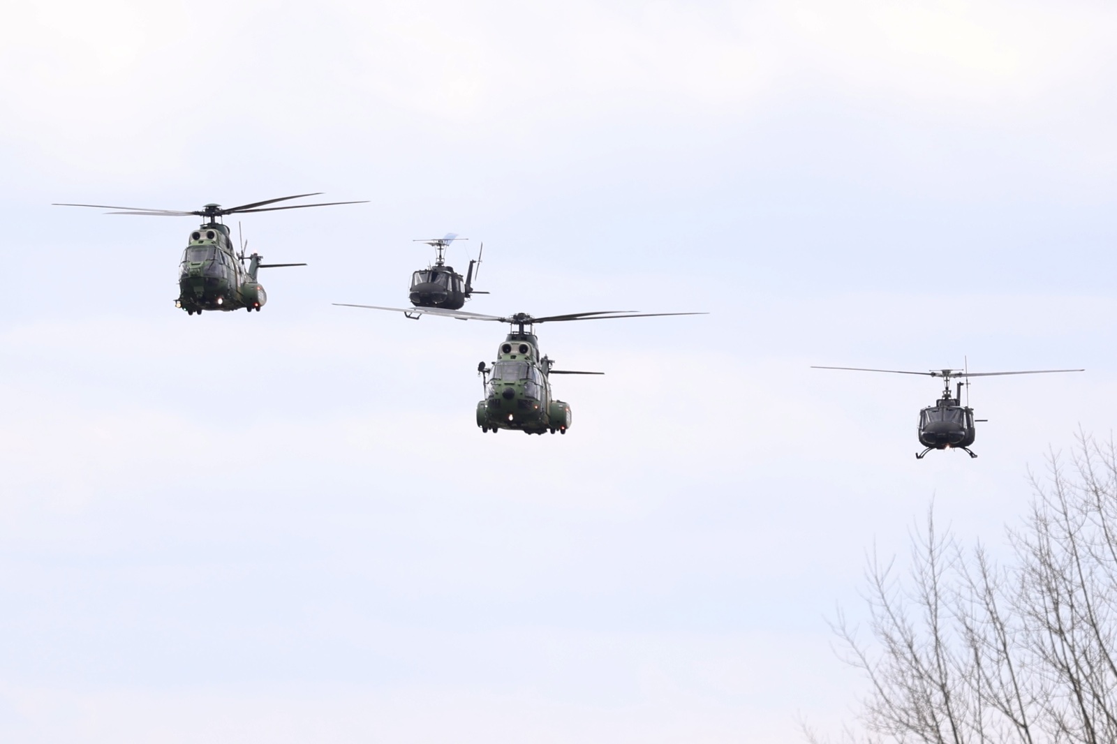 EUFOR/ALTHEA (F.Z./N1)