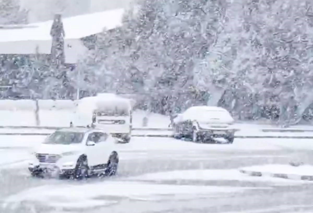 6bd09077-92b7-490c-9cc8-3ff06b23523c