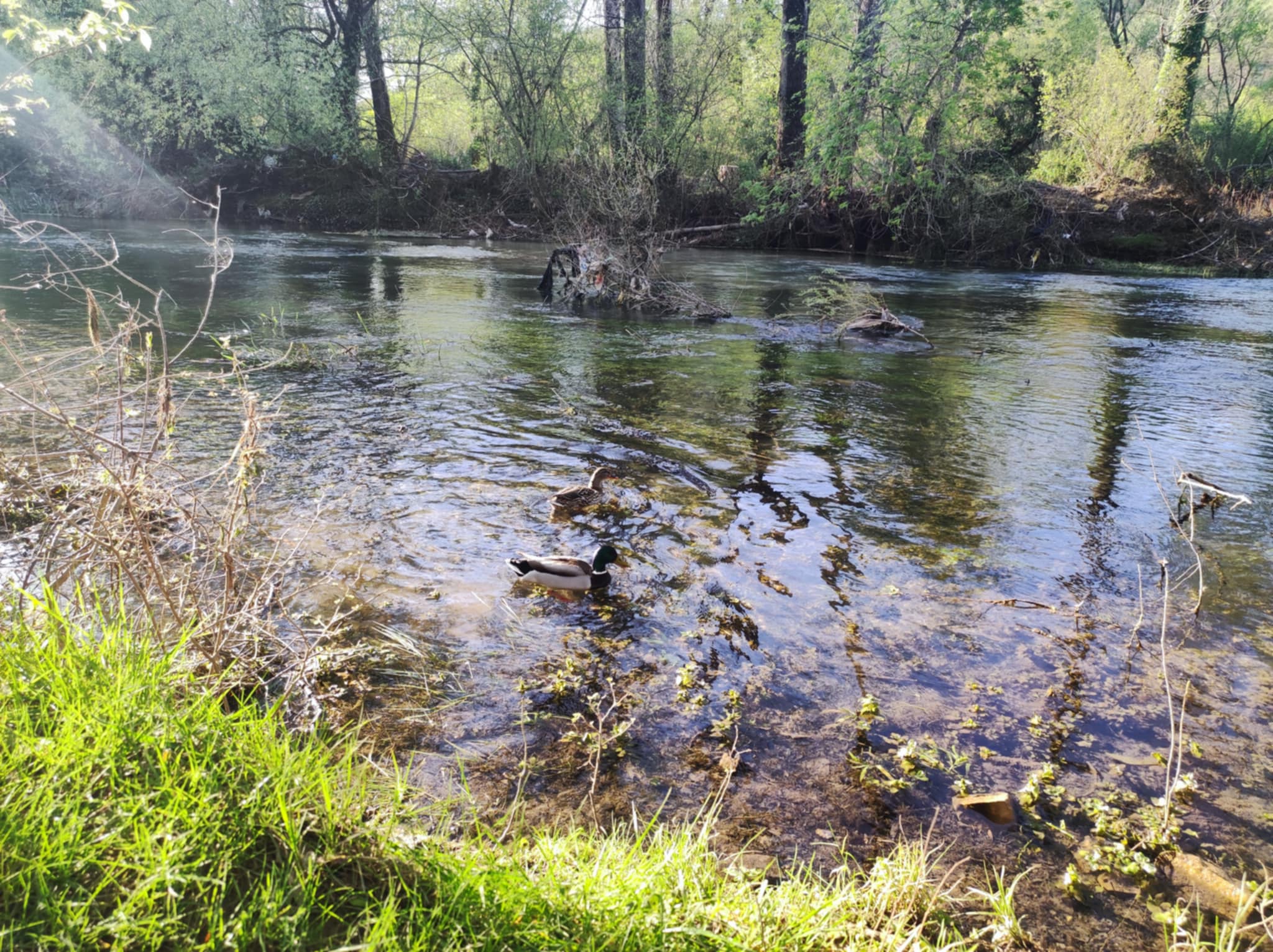 Izletište Bunica kod Mostara