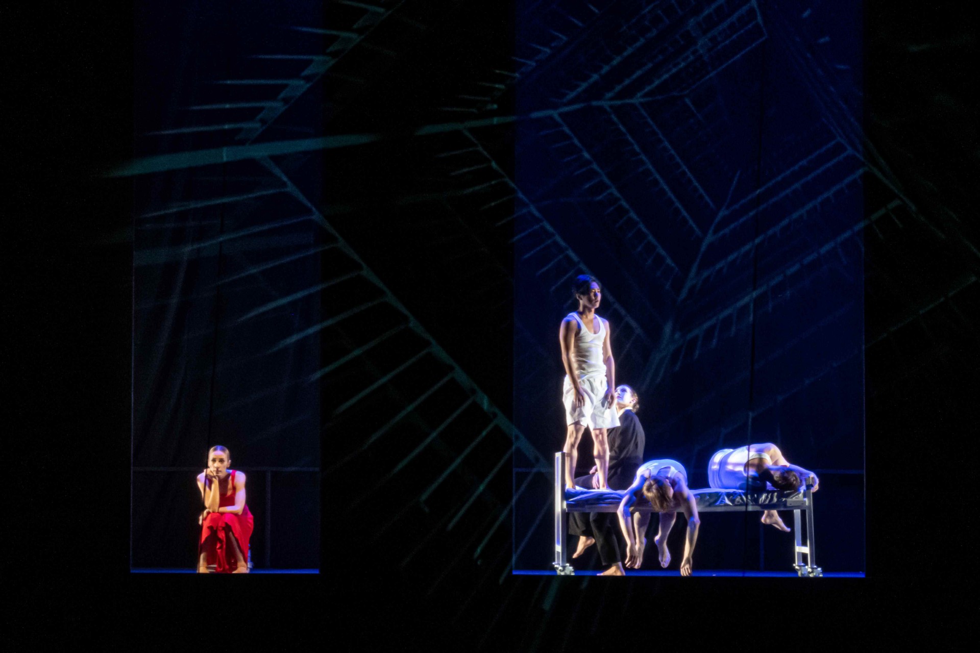 thumbnail_VH-DollyBell 2023 (31)