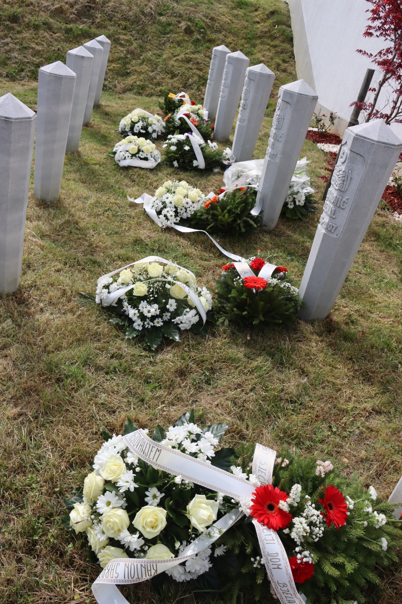 thumbnail_vlakovao 1