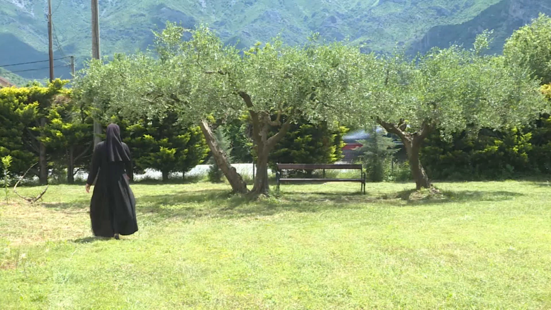 masline casne sestre