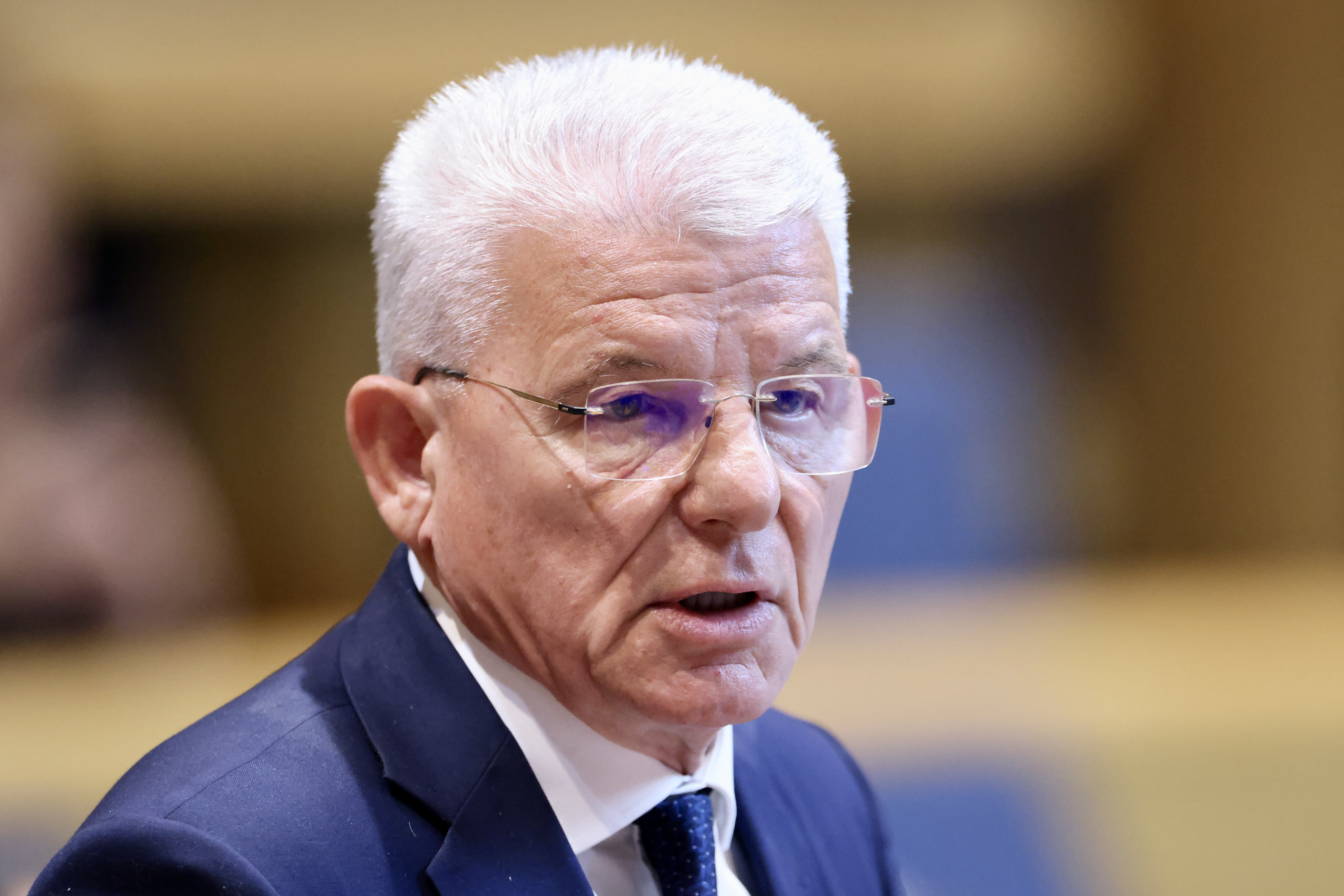 Šefik Džaferović (SDA) na sjednici Doma naroda PSBiH