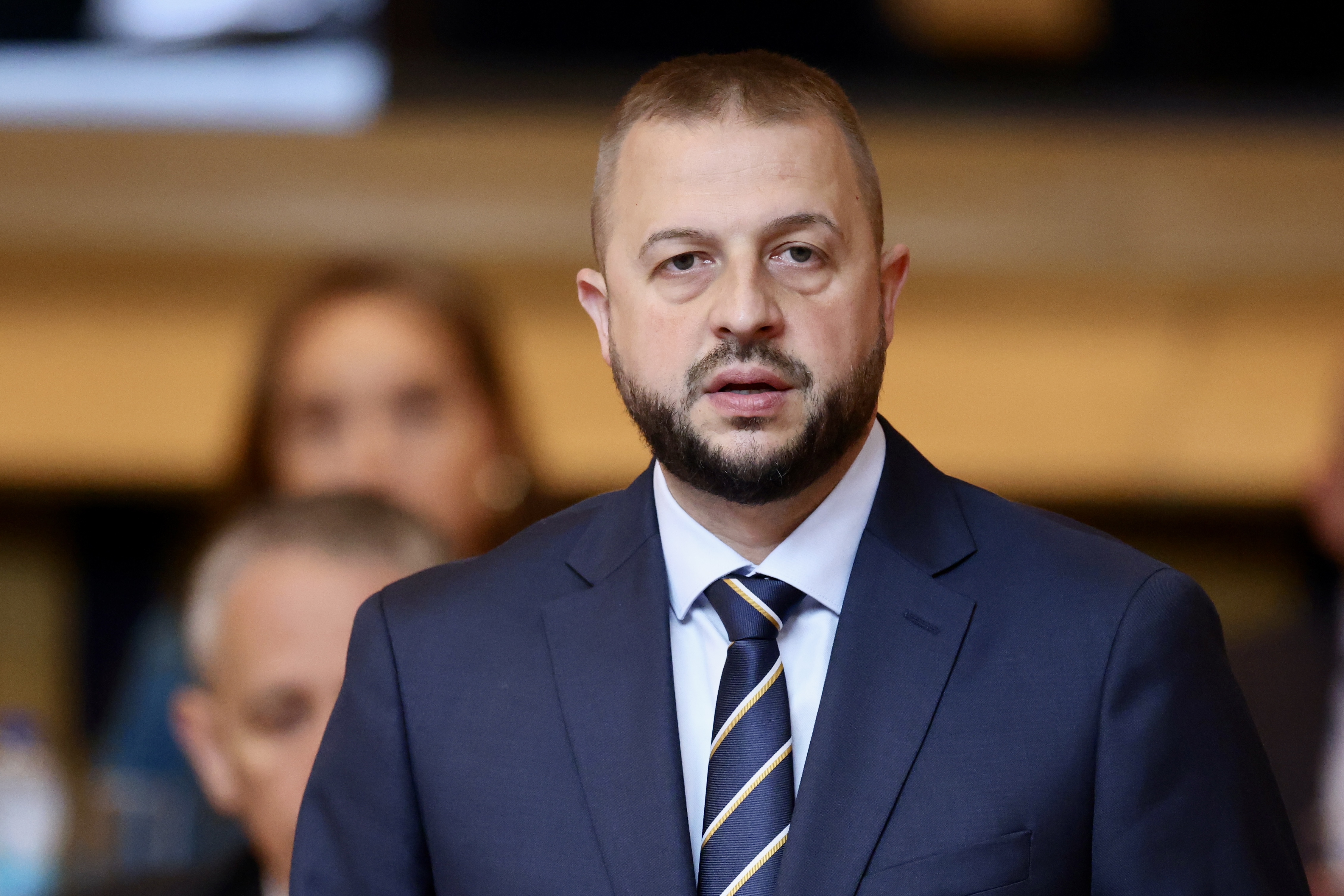 Želimir Nešković (SNS) na sjednici Doma naroda PSBiH