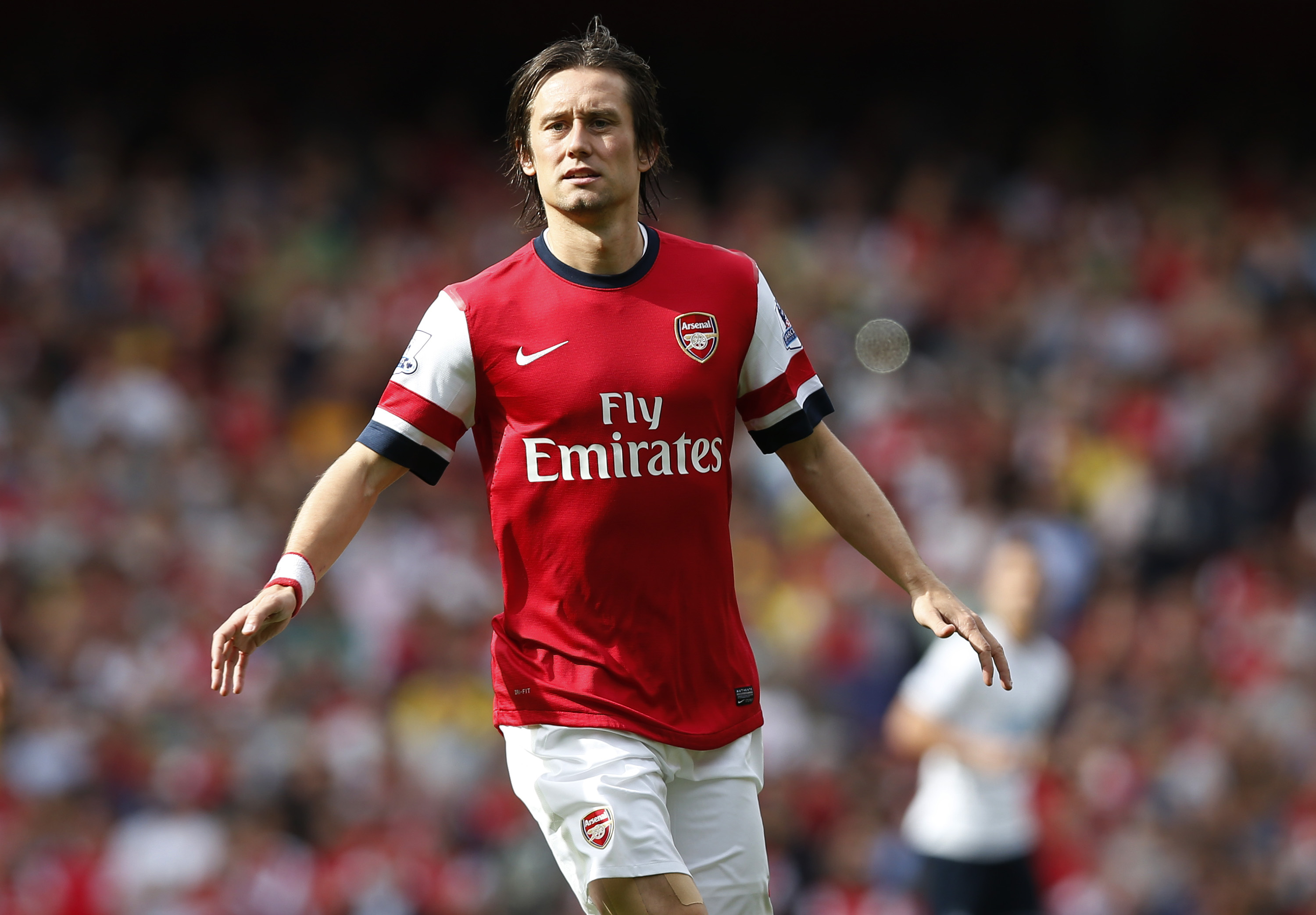 AP833561045090 Tomas Rosicky Arsenal FC Premier league