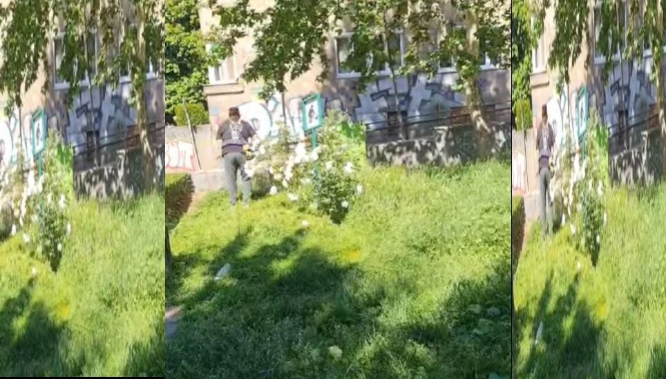 kosenje u centru sarajeva111