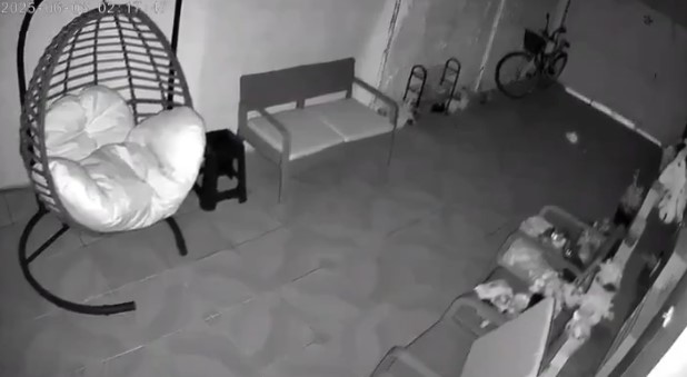 Zemljotres u Turskoj