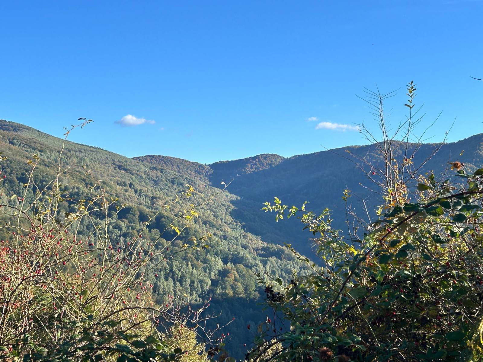 1 Panorama sela  Miholjevine kojeg danas nema.jpg